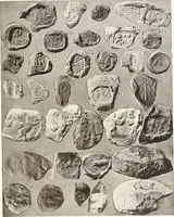 An illustration from Meydum and Memphis (III) (1910)