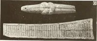 An illustration from Meydum and Memphis (III) (1910)