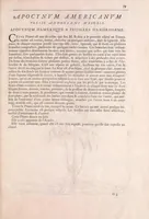 Picture 1 of 6 from Mémoires pour servir à l'histoire des plantes (1676), leaf 71