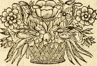 Picture 14 of 21 from Michaelis Bernhardi Valentini prof. medici ... Polychresta exotica in curandis affectibus contumacissimis probatissima ... : ut et nova herniarum cura. Accedunt seorsim olim editae ... Dissertationes epistolicae varii argumenti .. (1700), leaf 129