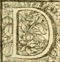 Picture 16 of 21 from Michaelis Bernhardi Valentini prof. medici ... Polychresta exotica in curandis affectibus contumacissimis probatissima ... : ut et nova herniarum cura. Accedunt seorsim olim editae ... Dissertationes epistolicae varii argumenti .. (1700), leaf 132