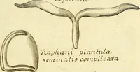 Picture 18 of 21 from Michaelis Bernhardi Valentini prof. medici ... Polychresta exotica in curandis affectibus contumacissimis probatissima ... : ut et nova herniarum cura. Accedunt seorsim olim editae ... Dissertationes epistolicae varii argumenti .. (1700), leaf 140