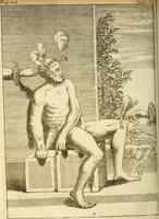 An illustration from Michaelis Bernhardi Valentini prof. medici ... Polychresta exotica in curandis affectibus contumacissimis probatissima ... : ut et nova herniarum cura. Accedunt seorsim olim editae ... Dissertationes epistolicae varii argumenti .. (1700)