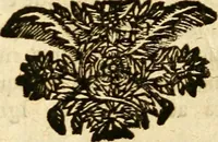 An illustration from Michaelis Bernhardi Valentini prof. medici ... Polychresta exotica in curandis affectibus contumacissimis probatissima ... : ut et nova herniarum cura. Accedunt seorsim olim editae ... Dissertationes epistolicae varii argumenti .. (1700)