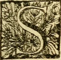 Picture 8 of 21 from Michaelis Bernhardi Valentini prof. medici ... Polychresta exotica in curandis affectibus contumacissimis probatissima ... : ut et nova herniarum cura. Accedunt seorsim olim editae ... Dissertationes epistolicae varii argumenti .. (1700), leaf 26