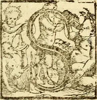 Picture 2 of 21 from Michaelis Bernhardi Valentini prof. medici ... Polychresta exotica in curandis affectibus contumacissimis probatissima ... : ut et nova herniarum cura. Accedunt seorsim olim editae ... Dissertationes epistolicae varii argumenti .. (1700), leaf 4