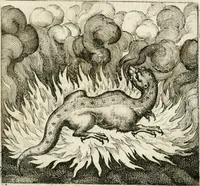 An illustration from Michaelis Majeri ... Secretioris naturae secretorum scrutinium chymicum : per oculis et intellectui accuratè accommodata, figuris cupro appositissimè incisa, ingeniosissima emblemata, hisque confines, & ad rem egregiè facientes sententias, doctissimaque item epigrammata, illustratum .. (1687)