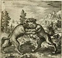 An illustration from Michaelis Majeri ... Secretioris naturae secretorum scrutinium chymicum : per oculis et intellectui accuratè accommodata, figuris cupro appositissimè incisa, ingeniosissima emblemata, hisque confines, & ad rem egregiè facientes sententias, doctissimaque item epigrammata, illustratum .. (1687)
