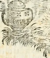Picture 21 of 60 from Michaelis Majeri ... Secretioris naturae secretorum scrutinium chymicum : per oculis et intellectui accuratè accommodata, figuris cupro appositissimè incisa, ingeniosissima emblemata, hisque confines, & ad rem egregiè facientes sententias, doctissimaque item epigrammata, illustratum .. (1687), leaf 73