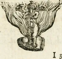 Picture 29 of 60 from Michaelis Majeri ... Secretioris naturae secretorum scrutinium chymicum : per oculis et intellectui accuratè accommodata, figuris cupro appositissimè incisa, ingeniosissima emblemata, hisque confines, & ad rem egregiè facientes sententias, doctissimaque item epigrammata, illustratum .. (1687), leaf 94