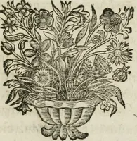 An illustration from Michaelis Majeri Viatorivm, hoc est, De montibvs planetarvm septem seu metallorum : tractatvs tam utilis, quàm perspicuus, quo, ut indice mercuriali in trivijs, vel Ariadnêo filo in labyrintho, seu cynosurâ in oceano chymicorum errorum immenso, quilibet rationalis, veritatis amans, ad illum, qui in montibus sese abdidit De Rubea-petra Alexicacum, omnibus medicis desideratum, investigandum, uti poterit (1651)