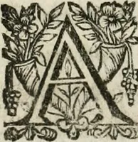 An illustration from Michaelis Majeri Viatorivm, hoc est, De montibvs planetarvm septem seu metallorum : tractatvs tam utilis, quàm perspicuus, quo, ut indice mercuriali in trivijs, vel Ariadnêo filo in labyrintho, seu cynosurâ in oceano chymicorum errorum immenso, quilibet rationalis, veritatis amans, ad illum, qui in montibus sese abdidit De Rubea-petra Alexicacum, omnibus medicis desideratum, investigandum, uti poterit (1651)