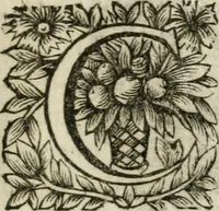 An illustration from Michaelis Majeri Viatorivm, hoc est, De montibvs planetarvm septem seu metallorum : tractatvs tam utilis, quàm perspicuus, quo, ut indice mercuriali in trivijs, vel Ariadnêo filo in labyrintho, seu cynosurâ in oceano chymicorum errorum immenso, quilibet rationalis, veritatis amans, ad illum, qui in montibus sese abdidit De Rubea-petra Alexicacum, omnibus medicis desideratum, investigandum, uti poterit (1651)
