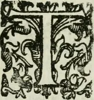 An illustration from Il microcosmo della pittura, ouero, Trattato diuiso in due libri ... (1657)