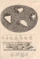 Picture 9 of 31 from Micrographia: or, Some physiological descriptions of minute bodies made by magnifying glasses (1665), leaf 133
