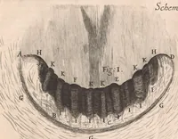 Picture 23 of 31 from Micrographia: or, Some physiological descriptions of minute bodies made by magnifying glasses (1665), leaf 271