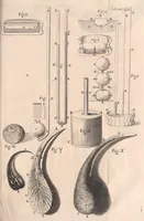 An illustration from Micrographia: or, Some physiological descriptions of minute bodies made by magnifying glasses (1665)