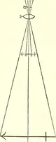 An illustration from Micrographia : containing practical essays on reflecting, solar, oxy-hydrogen gas microscopes; micrometers; eye-pieces, &c. &c. (1837)