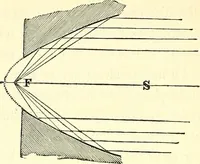 An illustration from Micrographia : containing practical essays on reflecting, solar, oxy-hydrogen gas microscopes; micrometers; eye-pieces, &c. &c. (1837)