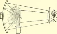 An illustration from Micrographia : containing practical essays on reflecting, solar, oxy-hydrogen gas microscopes; micrometers; eye-pieces, &c. &c. (1837)