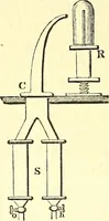 An illustration from Micrographia : containing practical essays on reflecting, solar, oxy-hydrogen gas microscopes; micrometers; eye-pieces, &c. &c. (1837)