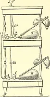 An illustration from Micrographia : containing practical essays on reflecting, solar, oxy-hydrogen gas microscopes; micrometers; eye-pieces, &c. &c. (1837)