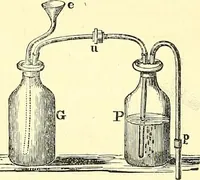 An illustration from Micrographia : containing practical essays on reflecting, solar, oxy-hydrogen gas microscopes; micrometers; eye-pieces, &c. &c. (1837)