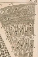 Picture 6 of 7 from Micrographia illustrata: or, The microscope explained ... Likewise, a natural history of aerial, terrestrial, and aquatic animals, &c., considered as microscopic objects (1771), leaf 479