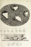 An illustration from Micrographia, or, Some physiological descriptions of minute bodies made by magnifying glasses. : With observations and inquiries thereupon. (1665)