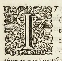 An illustration from Micrographia, or, Some physiological descriptions of minute bodies made by magnifying glasses. : With observations and inquiries thereupon. (1665)