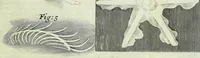 Picture 9 of 34 from Micrographia, or, Some physiological descriptions of minute bodies made by magnifying glasses : with observations and inquiries thereupon (1667), leaf 147