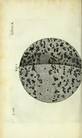 Picture 11 of 34 from Micrographia, or, Some physiological descriptions of minute bodies made by magnifying glasses : with observations and inquiries thereupon (1667), leaf 170