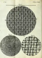 Picture 16 of 34 from Micrographia, or, Some physiological descriptions of minute bodies made by magnifying glasses : with observations and inquiries thereupon (1667), leaf 218