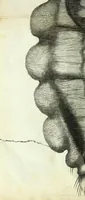 Picture 32 of 34 from Micrographia, or, Some physiological descriptions of minute bodies made by magnifying glasses : with observations and inquiries thereupon (1667), leaf 350