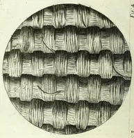 Picture 4 of 34 from Micrographia, or, Some physiological descriptions of minute bodies made by magnifying glasses : with observations and inquiries thereupon (1667), leaf 50