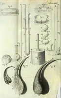 Picture 6 of 34 from Micrographia, or, Some physiological descriptions of minute bodies made by magnifying glasses : with observations and inquiries thereupon (1667), leaf 58