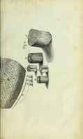Picture 8 of 34 from Micrographia, or, Some physiological descriptions of minute bodies made by magnifying glasses : with observations and inquiries thereupon (1667), leaf 97