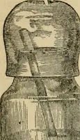 An illustration from The Microscope (1881)