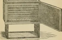 An illustration from The Microscope (1881)