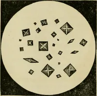 An illustration from The Microscope (1881)