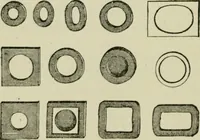 Picture 28 of 38 from The Microscope (1881), leaf 173