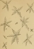 Picture 16 of 38 from The Microscope (1881), leaf 76