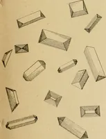 Picture 18 of 38 from The Microscope (1881), leaf 76