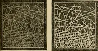 An illustration from The Microscope (1881)