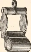 An illustration from The microscope and histology for the use of laboratory students in the anatomical department of Cornell University. by Simon Henry Gage (1891)