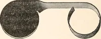 An illustration from The microscope and histology for the use of laboratory students in the anatomical department of Cornell University. by Simon Henry Gage (1891)