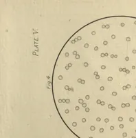 An illustration from The microscope in the brewery and malt-house (1889)