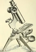 Picture 53 of 151 from The microscope; an introduction to microscopic methods and to histology (1901), leaf 101