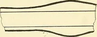 An illustration from The microscope; an introduction to microscopic methods and to histology (1901)