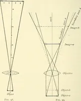 Picture 61 of 151 from The microscope; an introduction to microscopic methods and to histology (1901), leaf 123